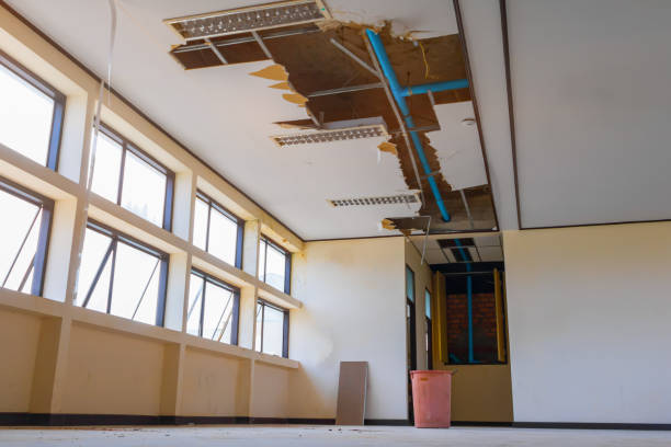 Best Water damage restoration cost  in Rio, WI