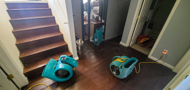 Best Water damage contractors near me  in Rio, WI