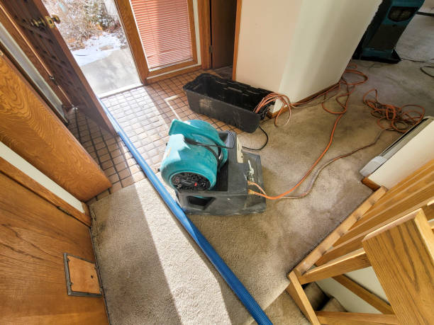 Trusted Rio, WI Water damage restoration Experts