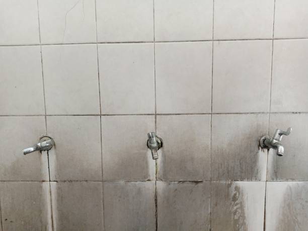 Best Water damage restoration near me  in Rio, WI