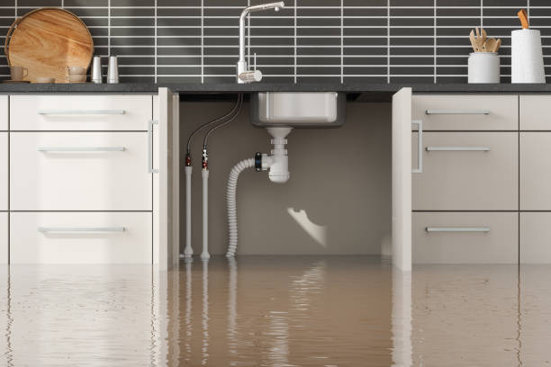 Sewage cleanup and water damage restoration in Rio, WI