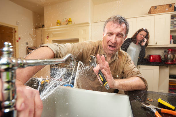 Best Professional water damage repair  in Rio, WI